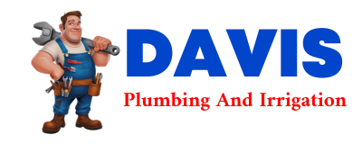 Trusted plumber in CABALLO